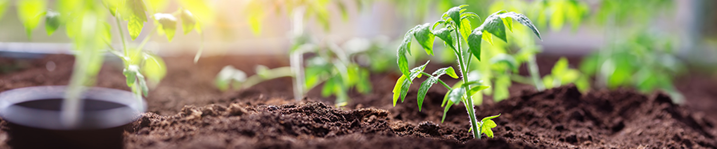 Campo applicativo_Agricoltura biologica_hero