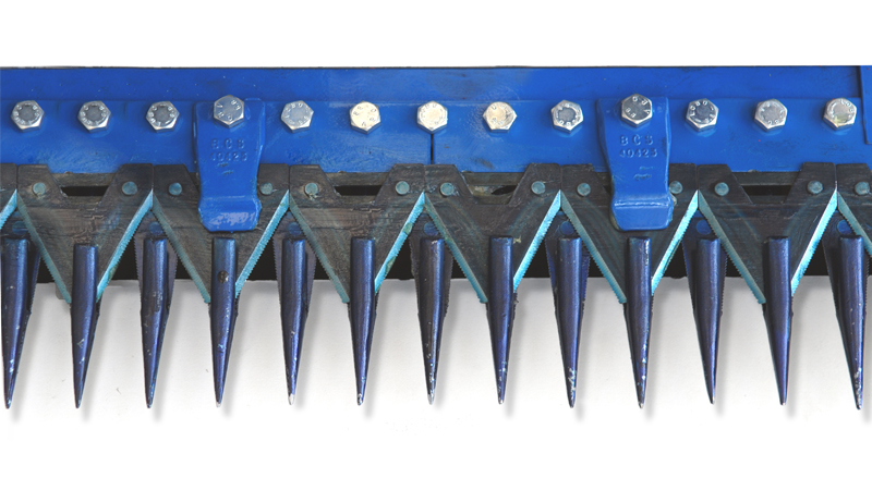 622-mietilega-Dente-fitto
