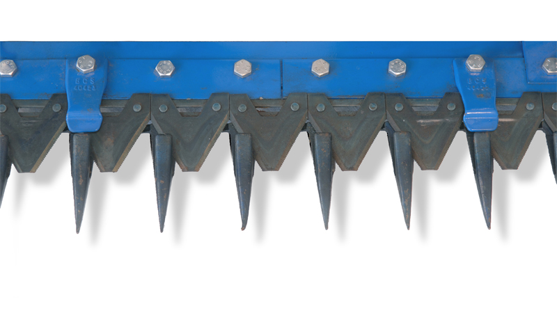 622-mietilega-Dente-normale