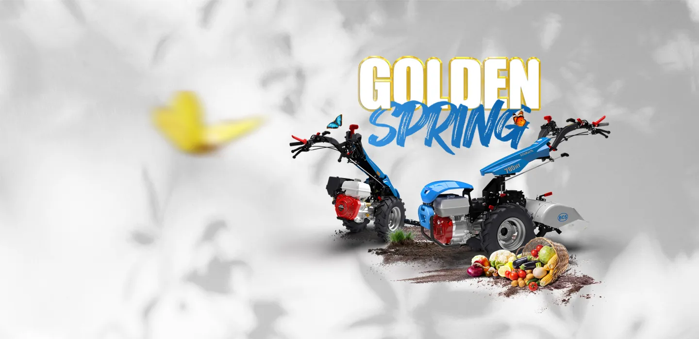 GOLDEN SPRING 2025