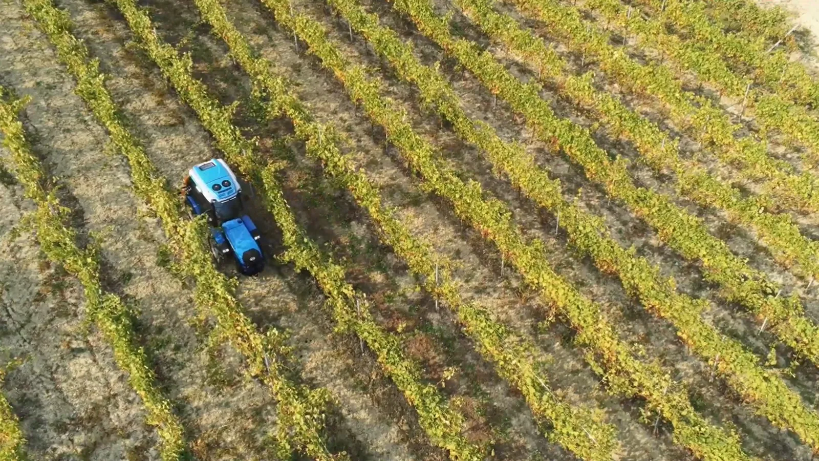 Prova-in-campo-trattori