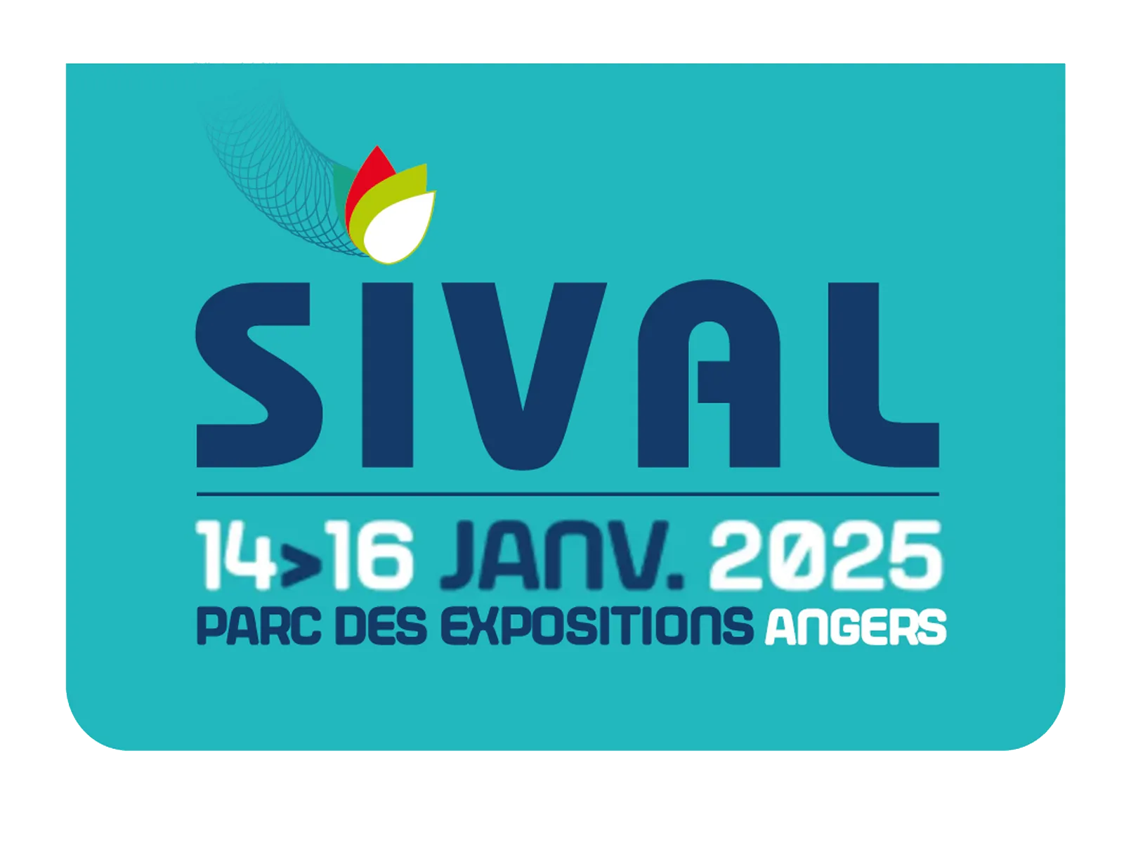 sival 2025