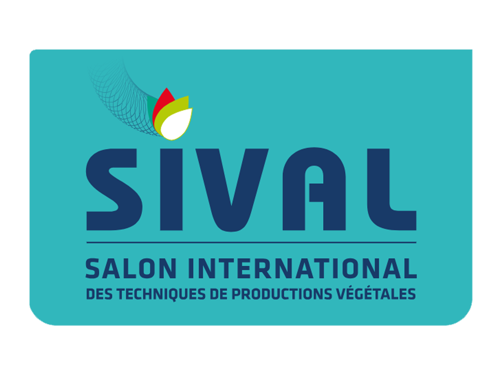 Sival 2026