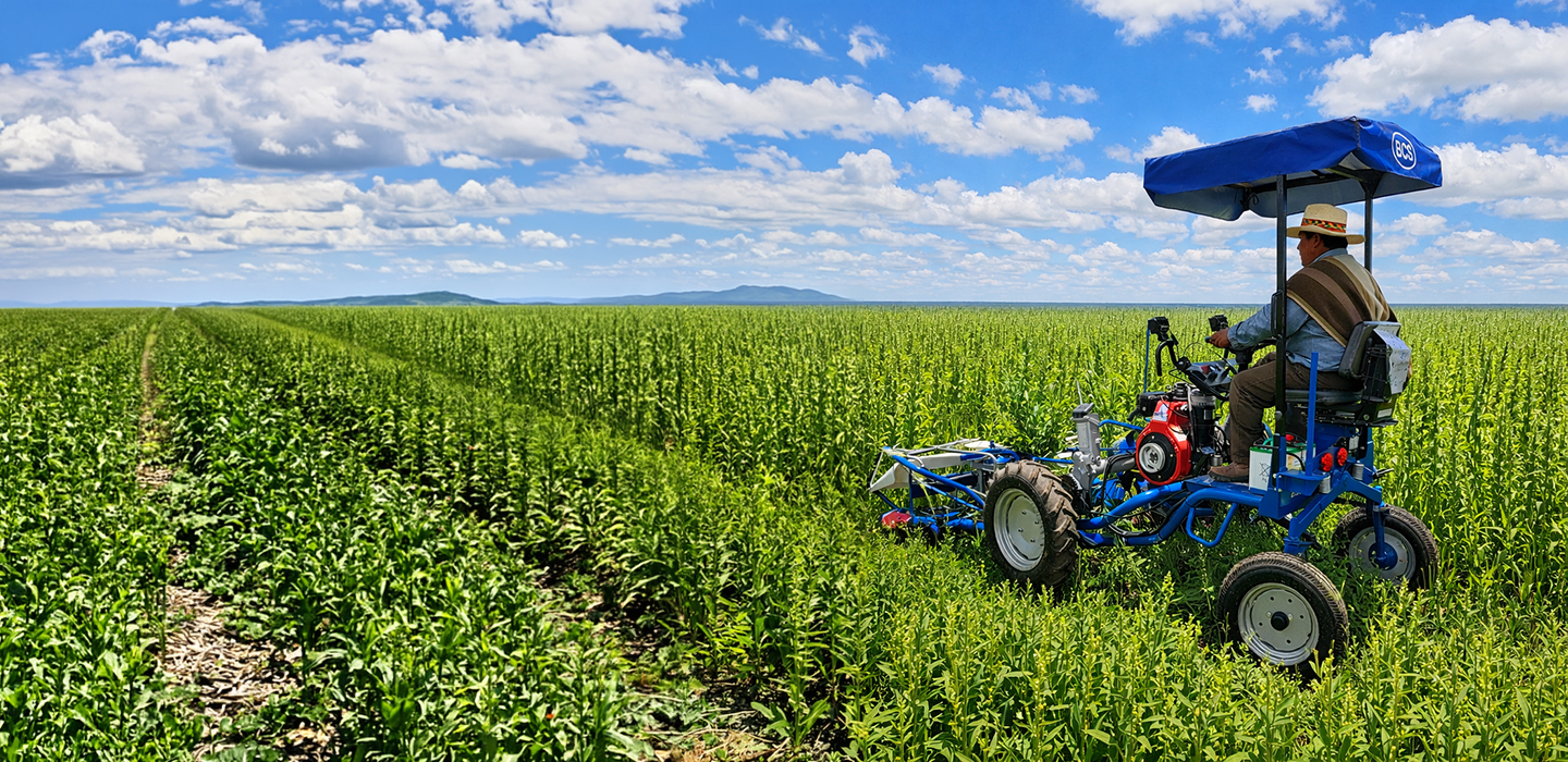 290i at work in Bolivia, sesame crops